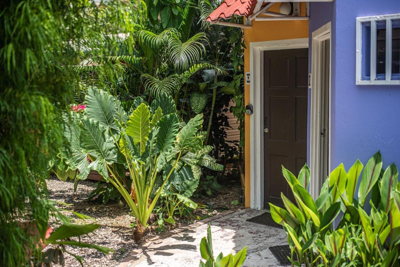Jaco Lodge Quiet Place (Adults Only) المظهر الخارجي الصورة
